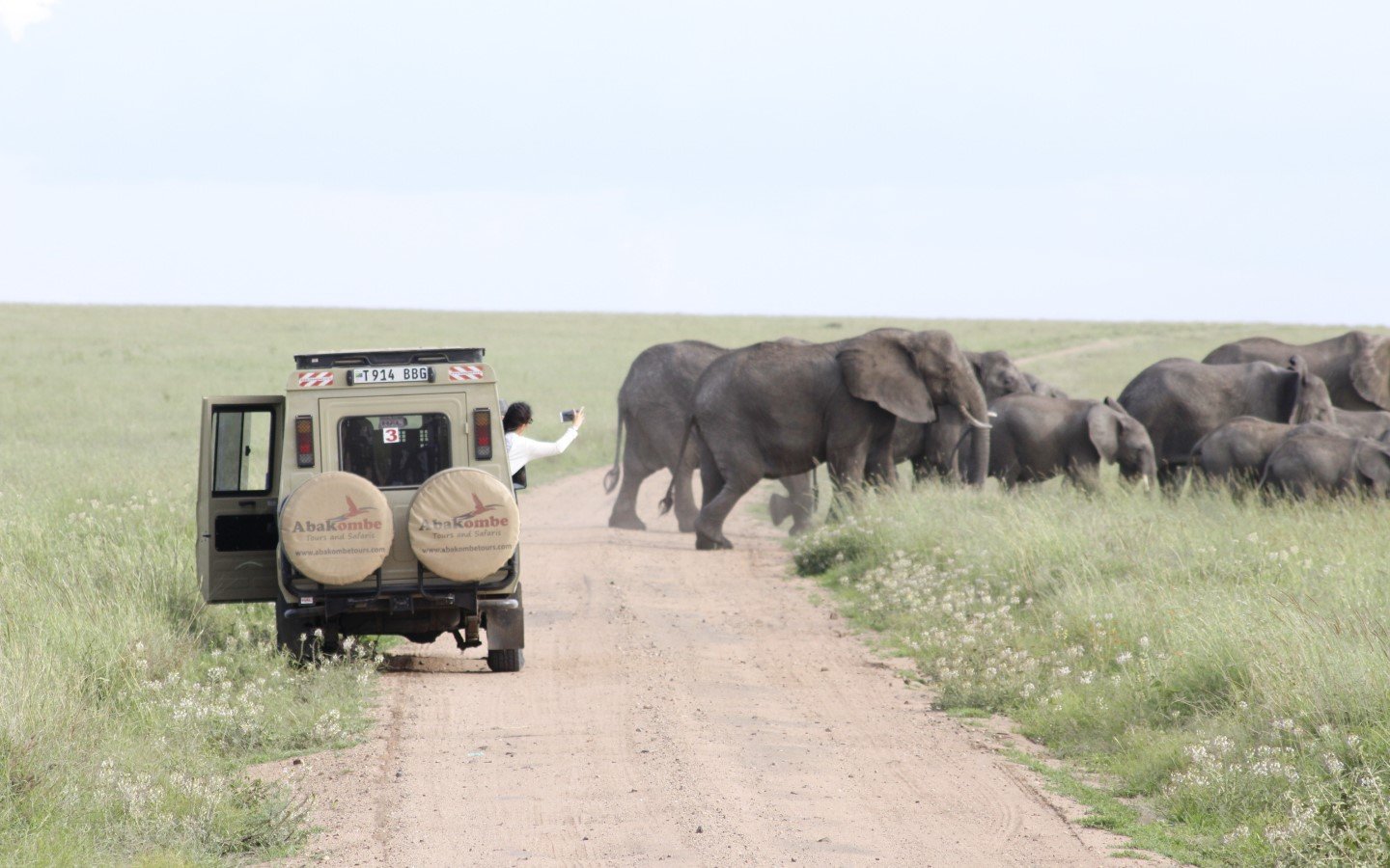 Tanzania national parks