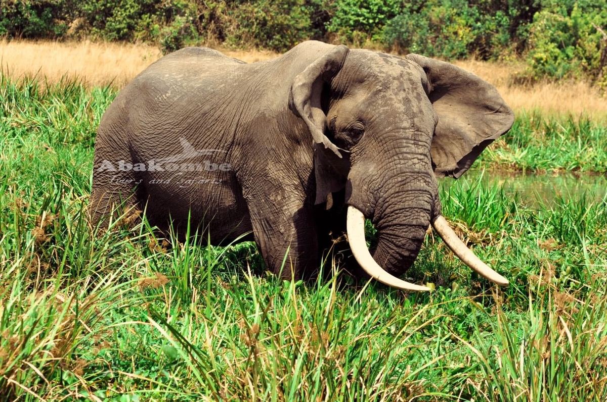 10 Days Safari And Caltural tour