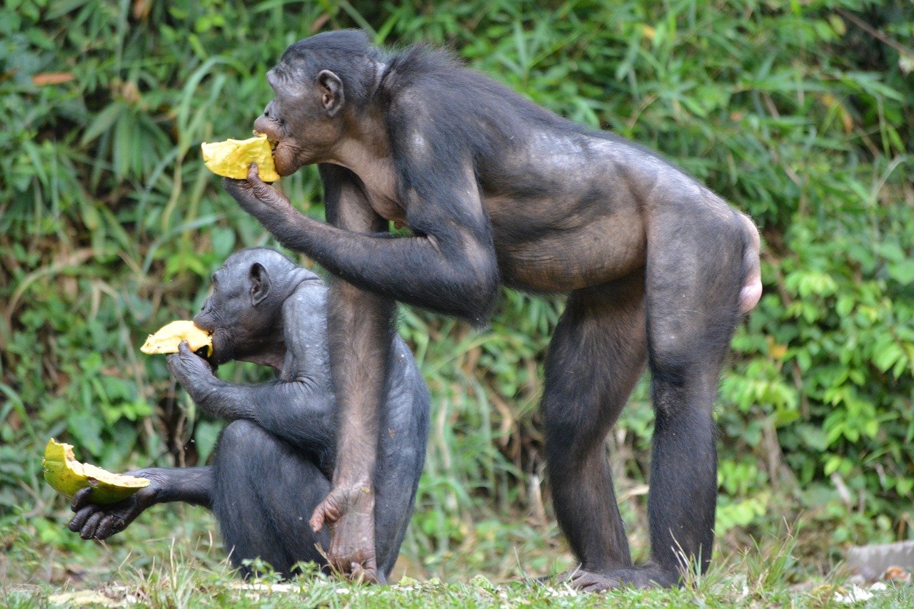 30 Days East Africa Safari!