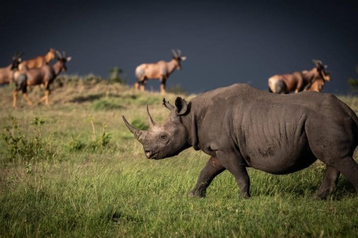 Northern Tanzania Budget Camping Safari 5 Days