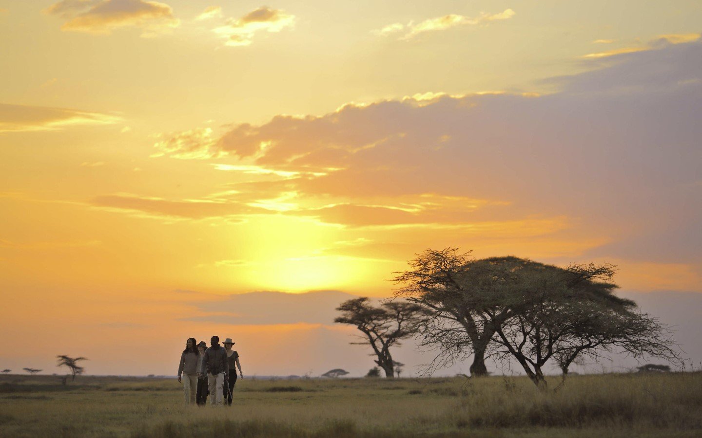 Tanzania Classic Safari For Honeymooners 10 Days